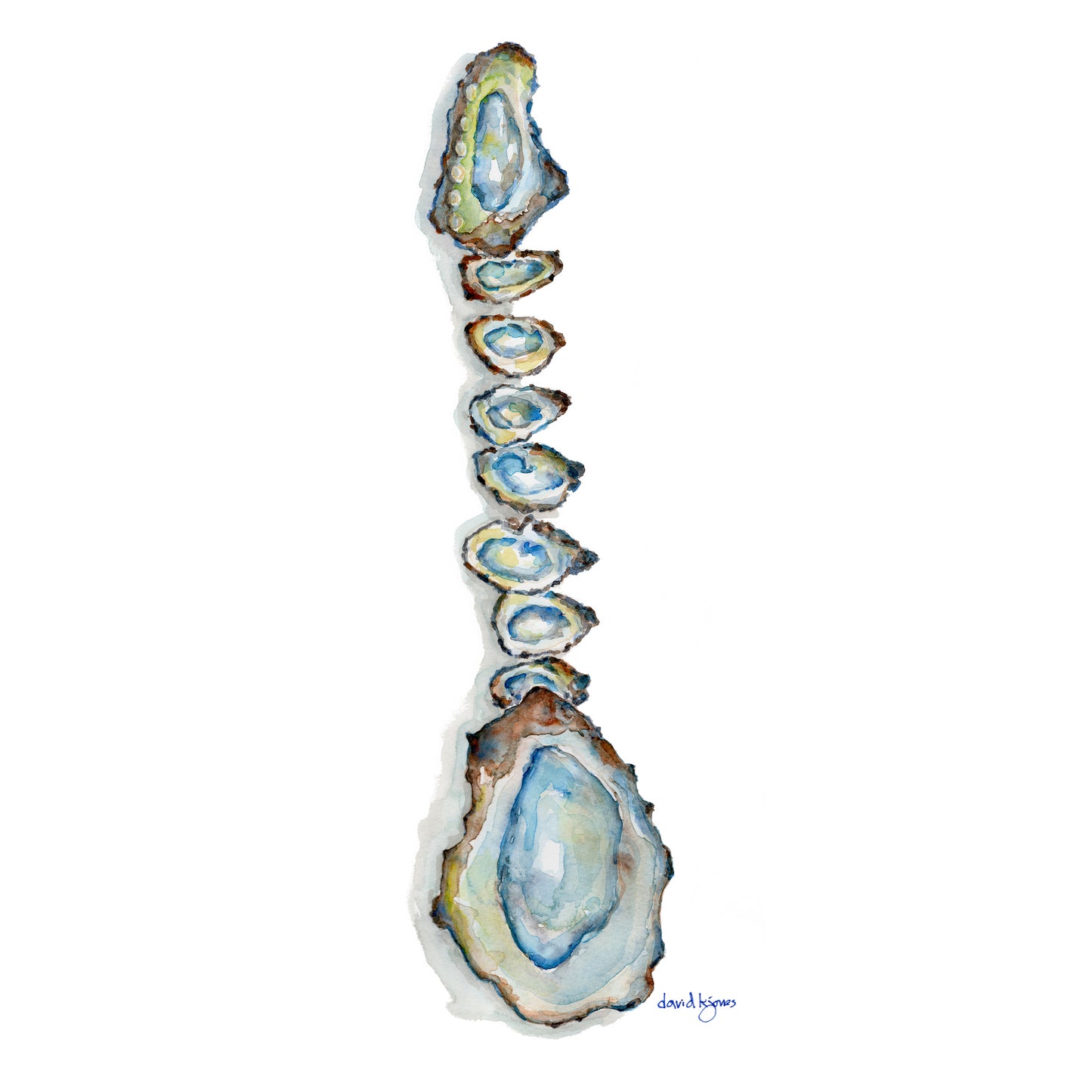 Oyster Guitar