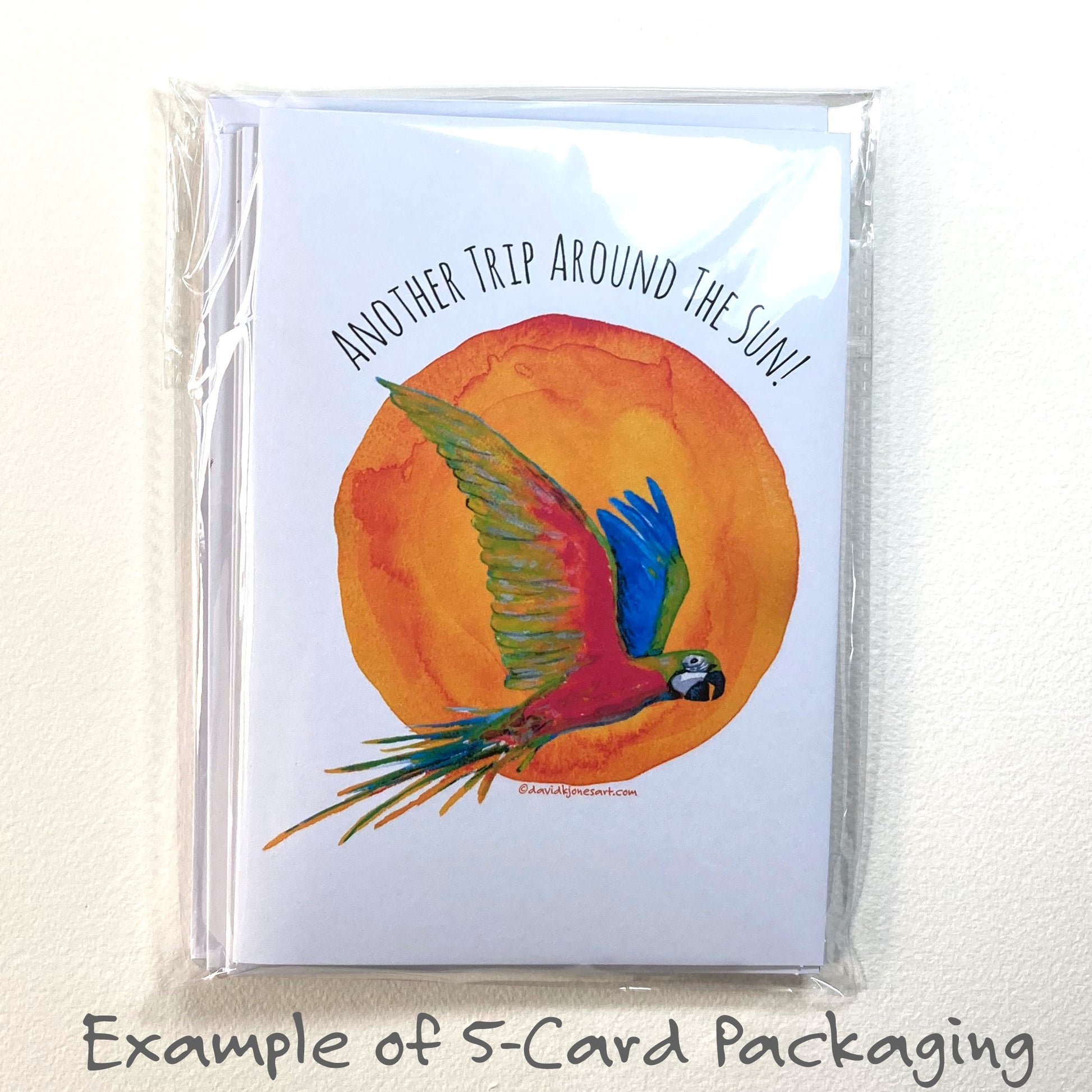 Another Trip Around The Sun! TATSday Ver 1 - davidkjonesart