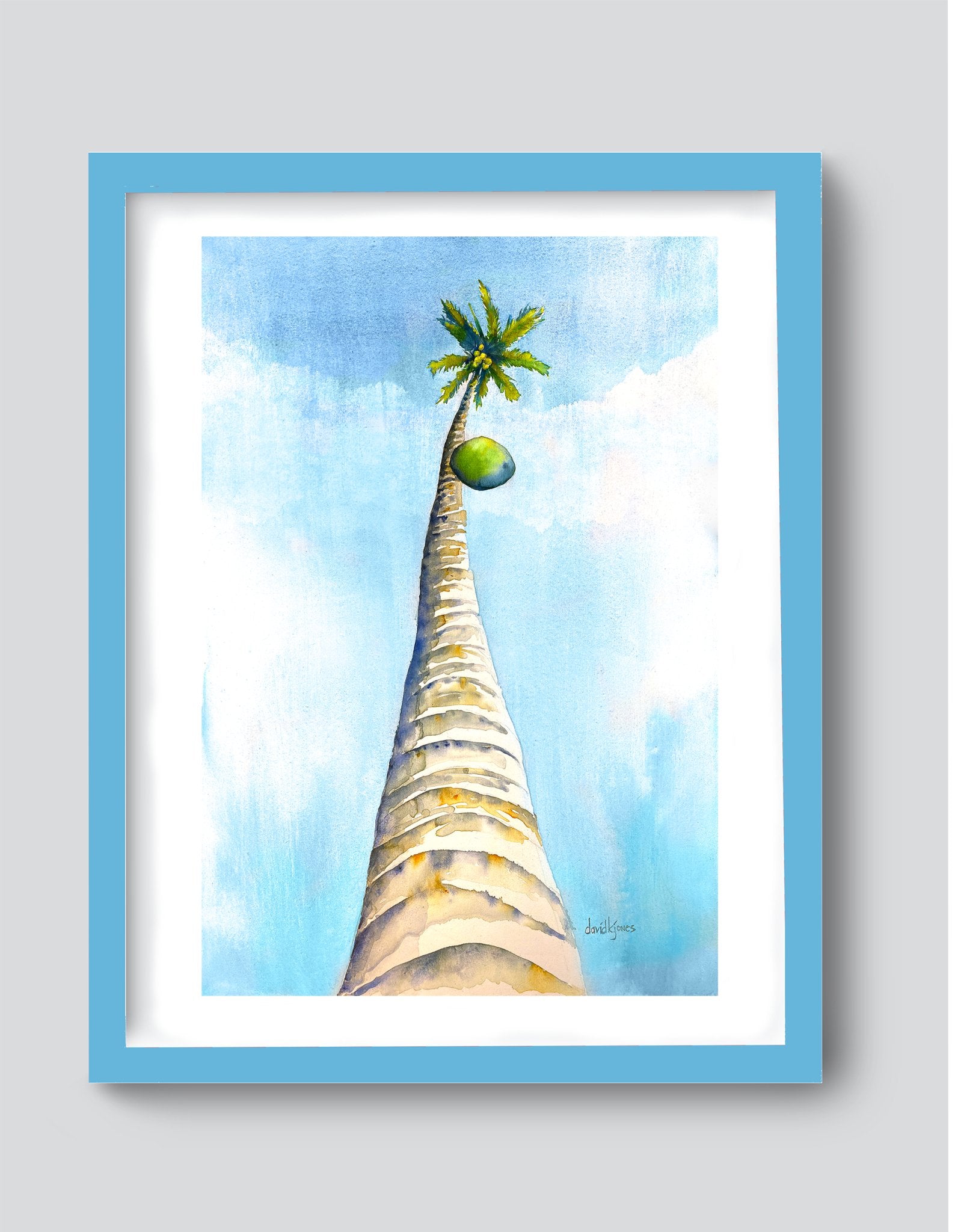 Falling Coconut (Art Print) - davidkjonesart