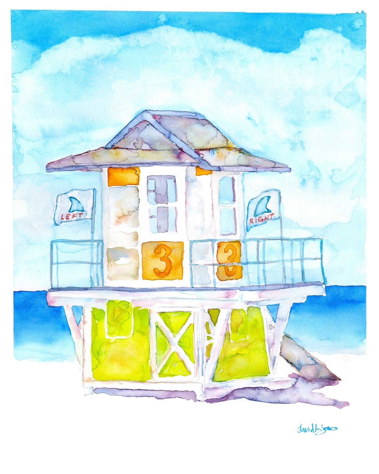 FINS! - davidkjonesart