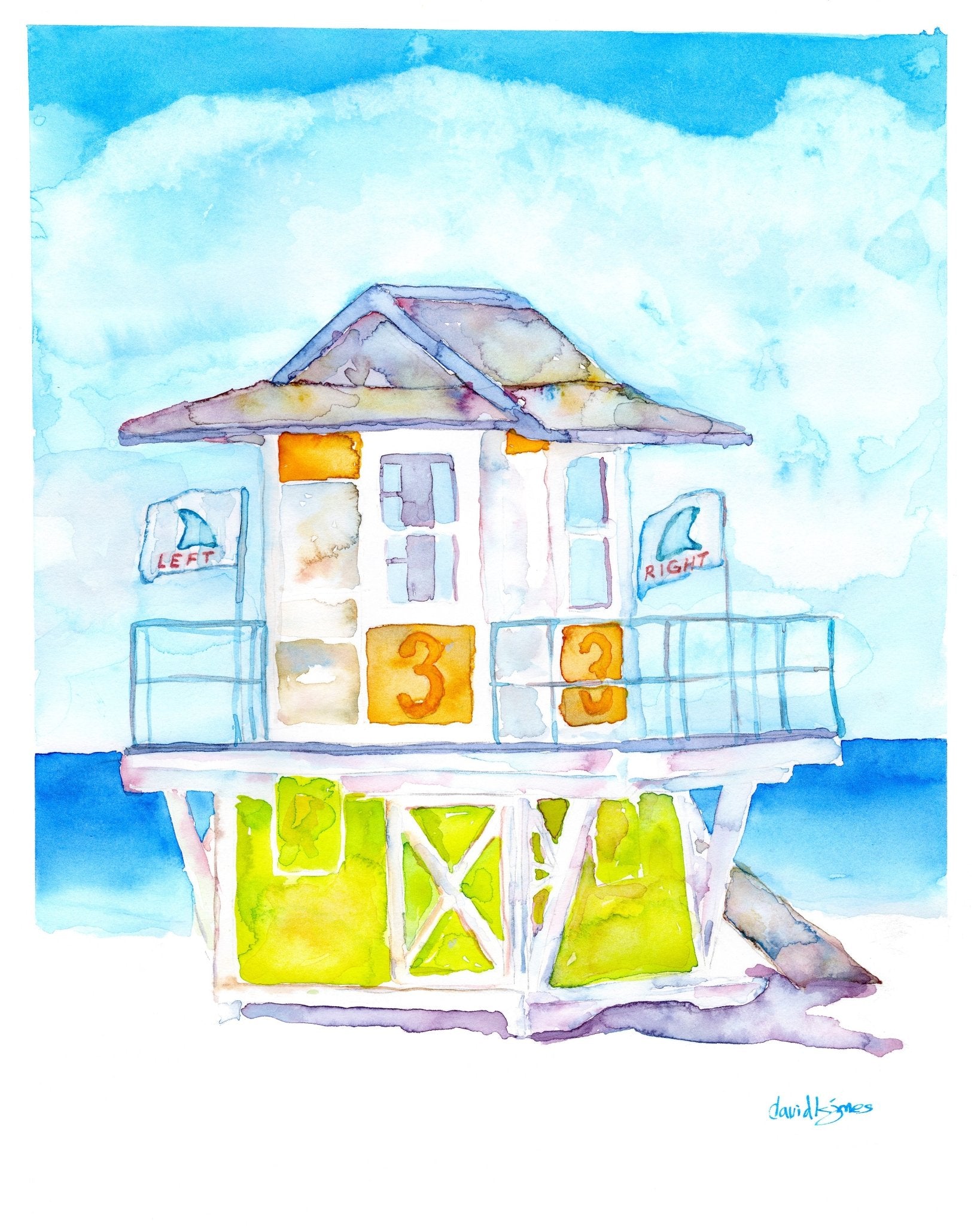 FINS! - davidkjonesart