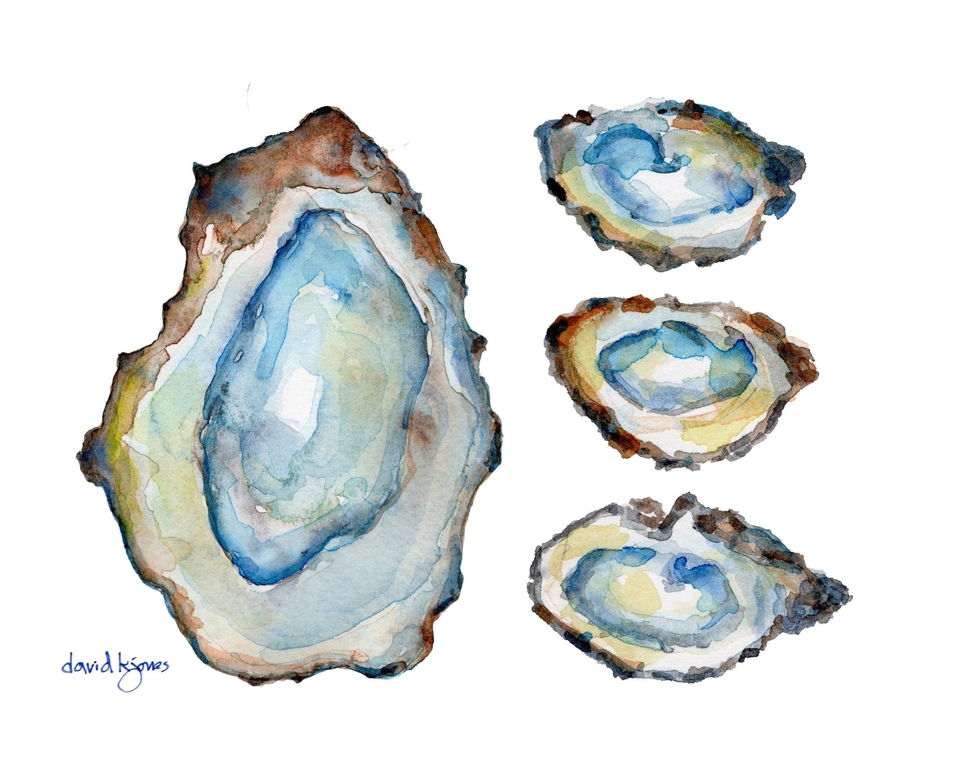 Four Oysters - davidkjonesart