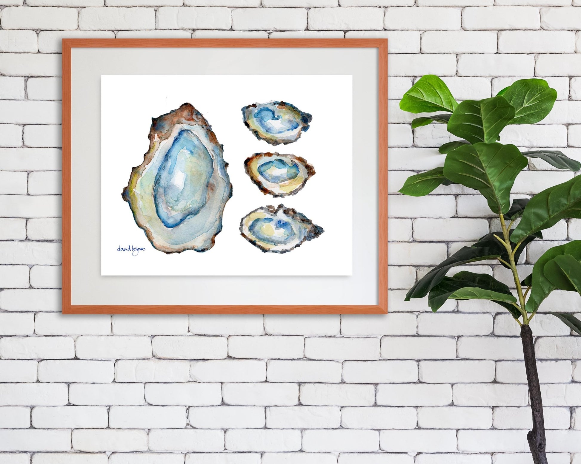 Four Oysters - davidkjonesart