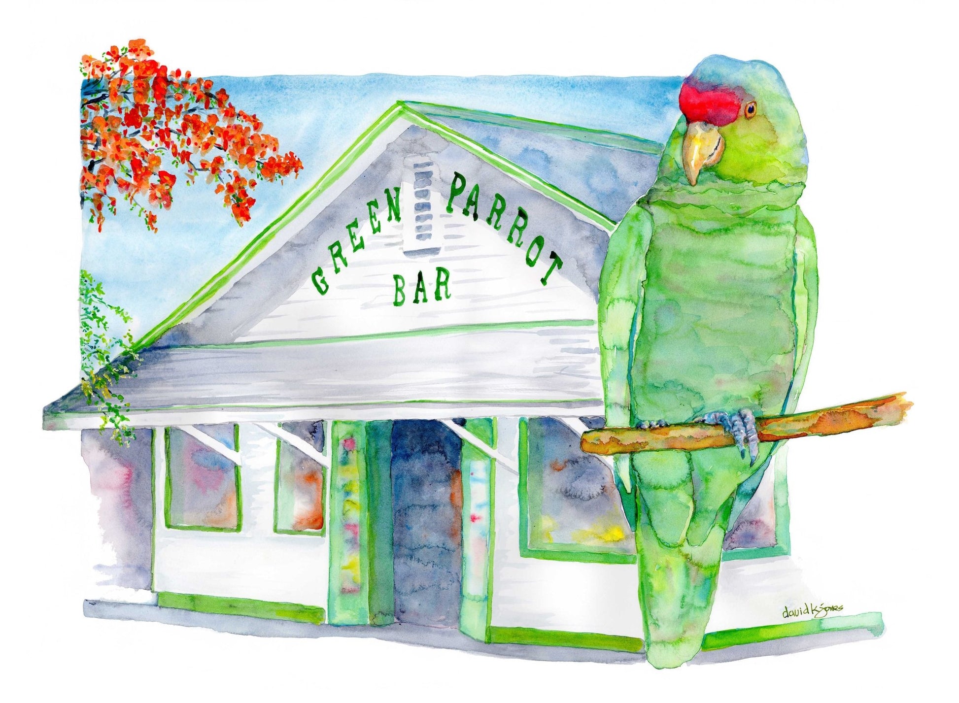 Green Parrot (original watercolor/acrylic) - davidkjonesart