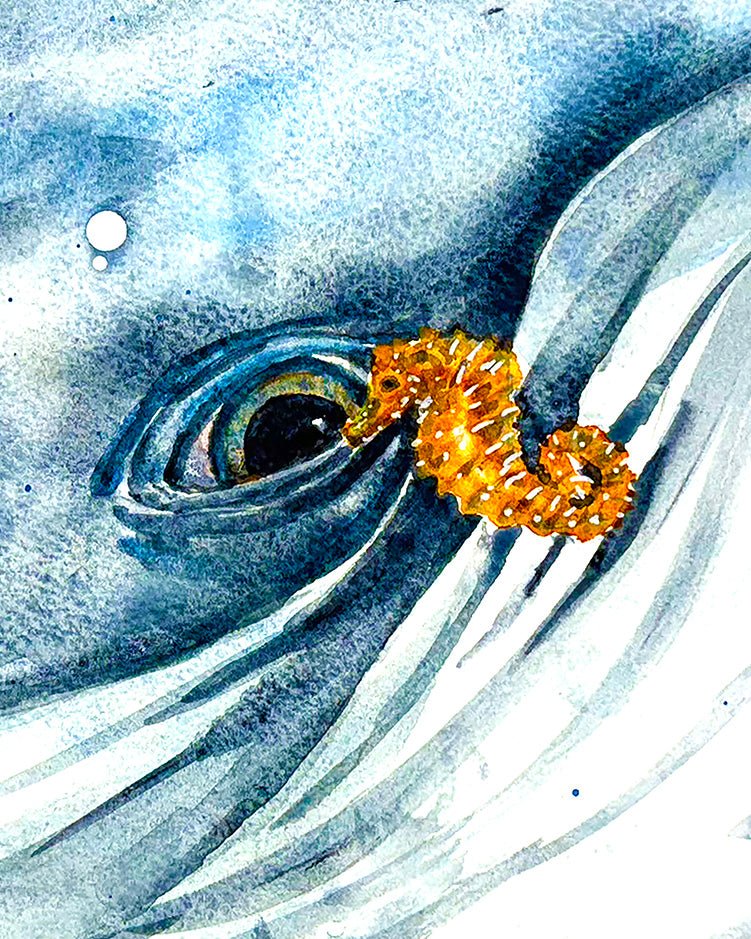 Hello (Whale & Seahorse) Original watercolor - davidkjonesart