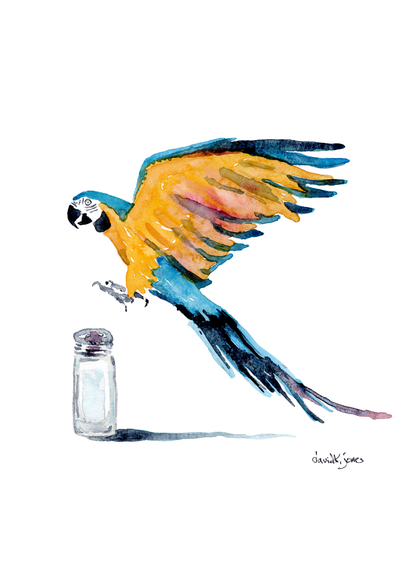 Lost Shaker of Salt (DIGITAL DOWNLOAD) - davidkjonesart