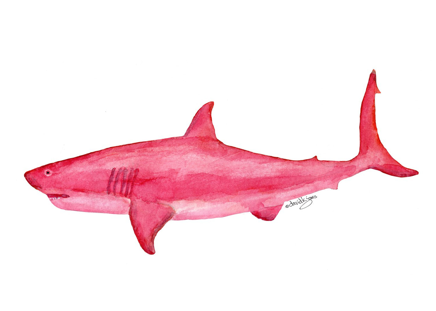 Pink Lady - davidkjonesart