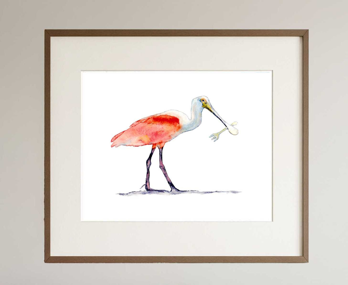 Spoonbill (original watercolor) - davidkjonesart