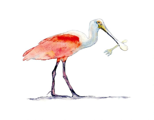 Spoonbill (original watercolor) - davidkjonesart