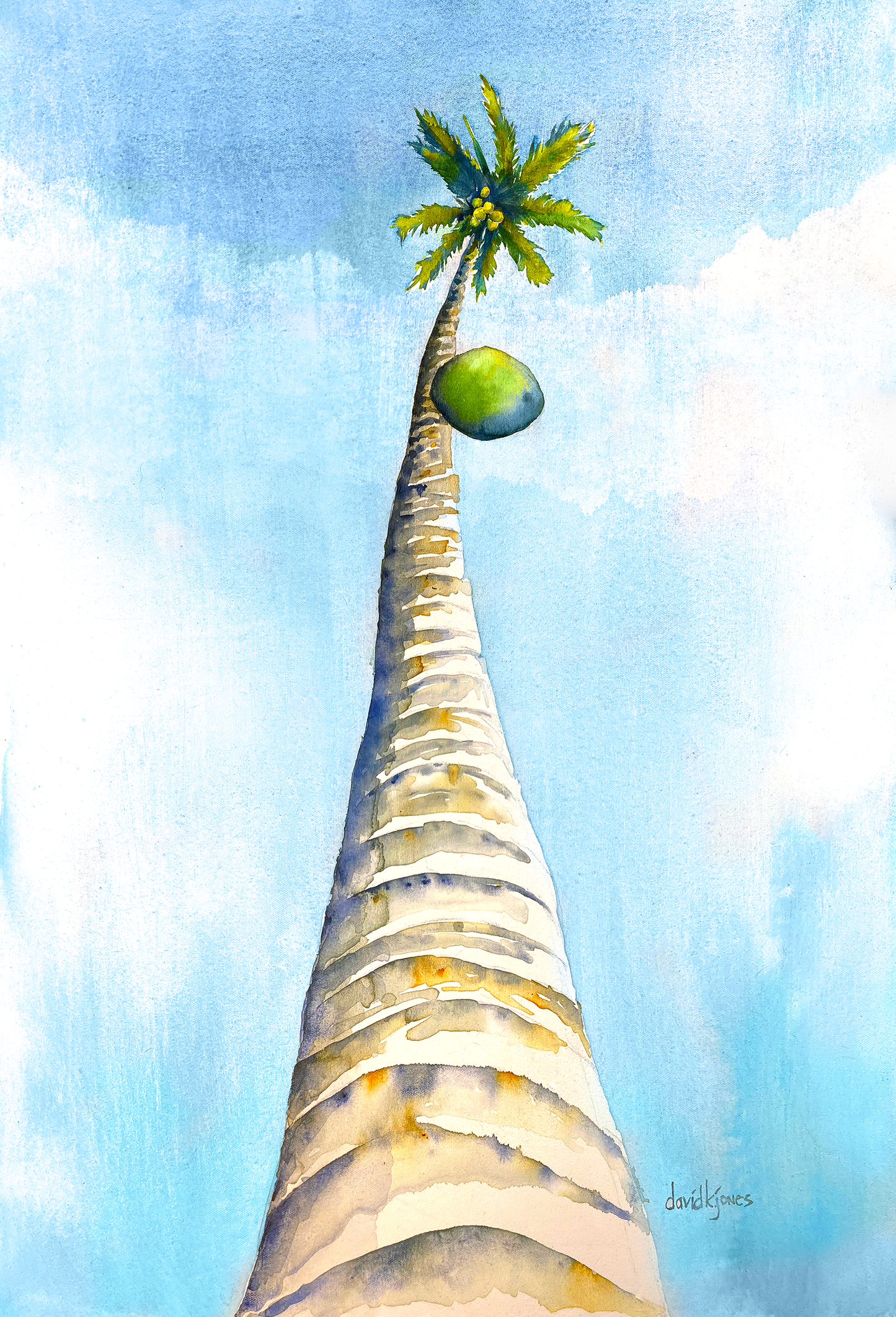 Falling Coconut (Art Print)