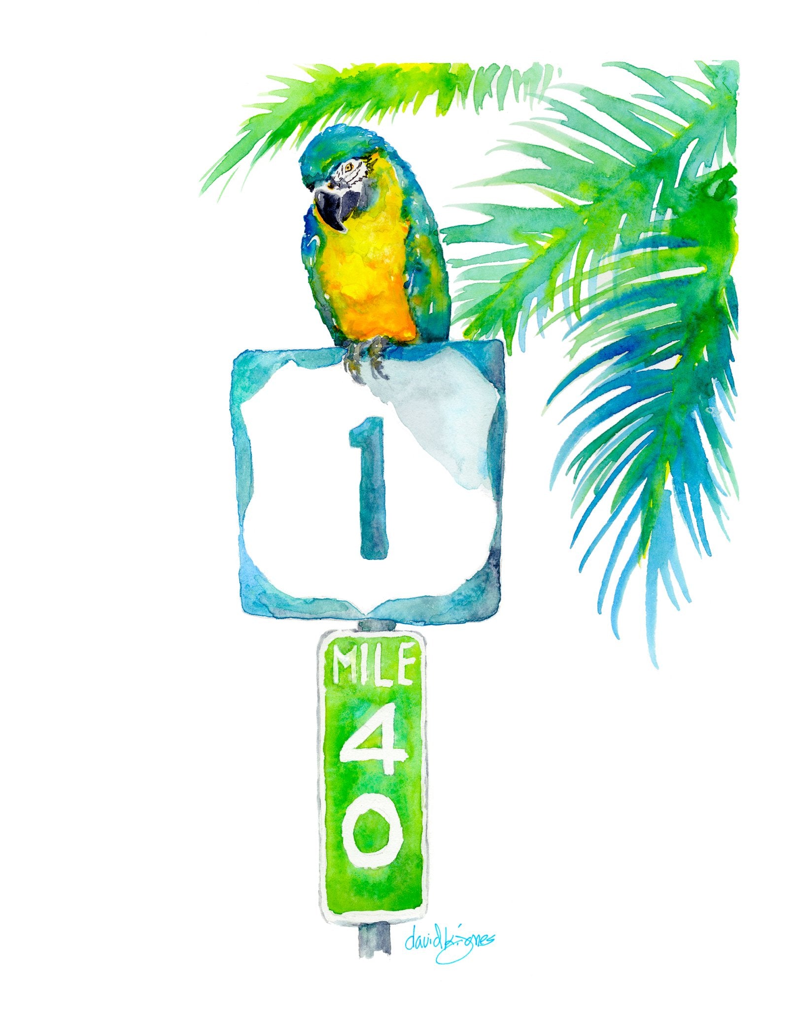 A Parrot Looks at 40 (art print) - davidkjonesart