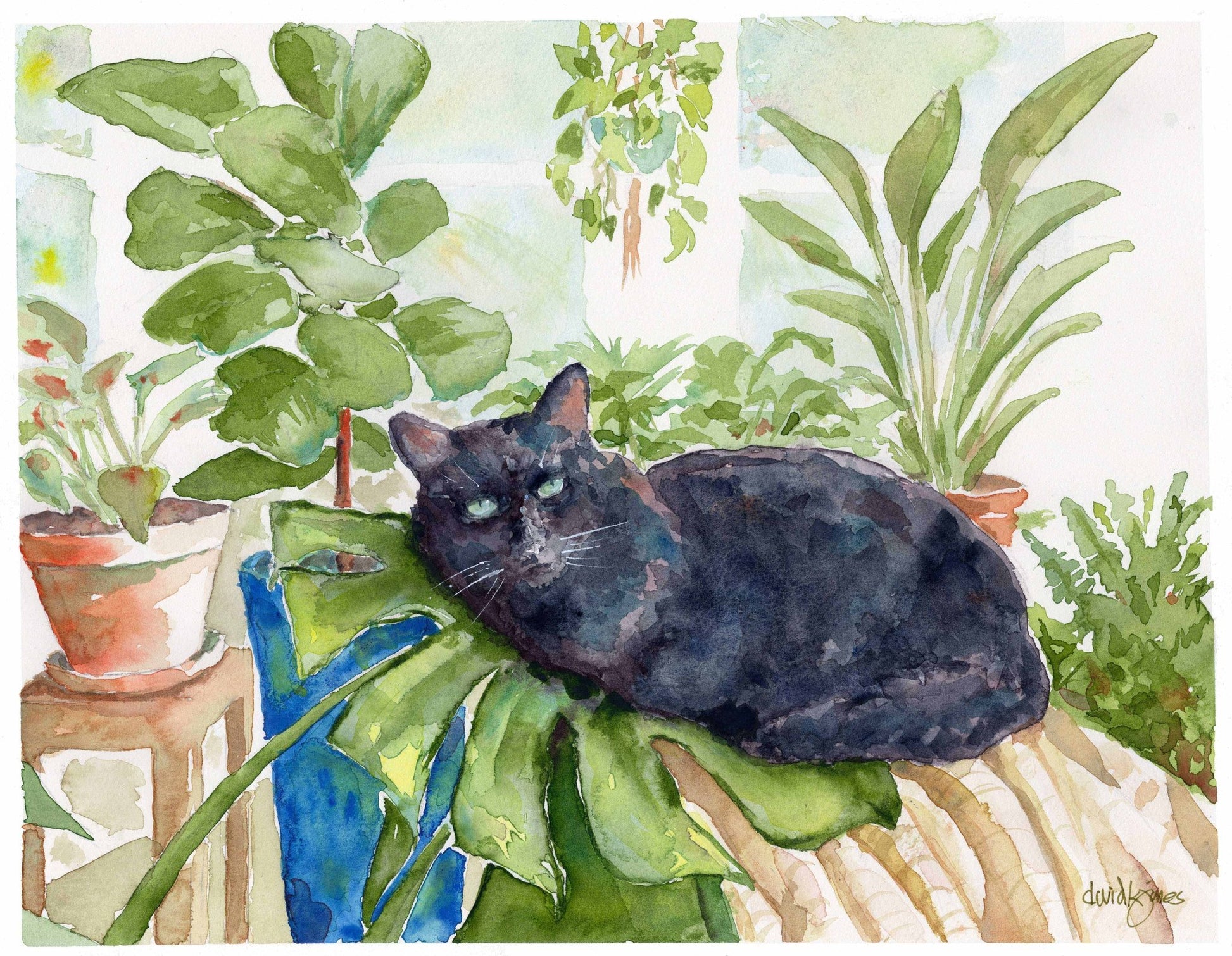 Augustus Black Cat - davidkjonesart