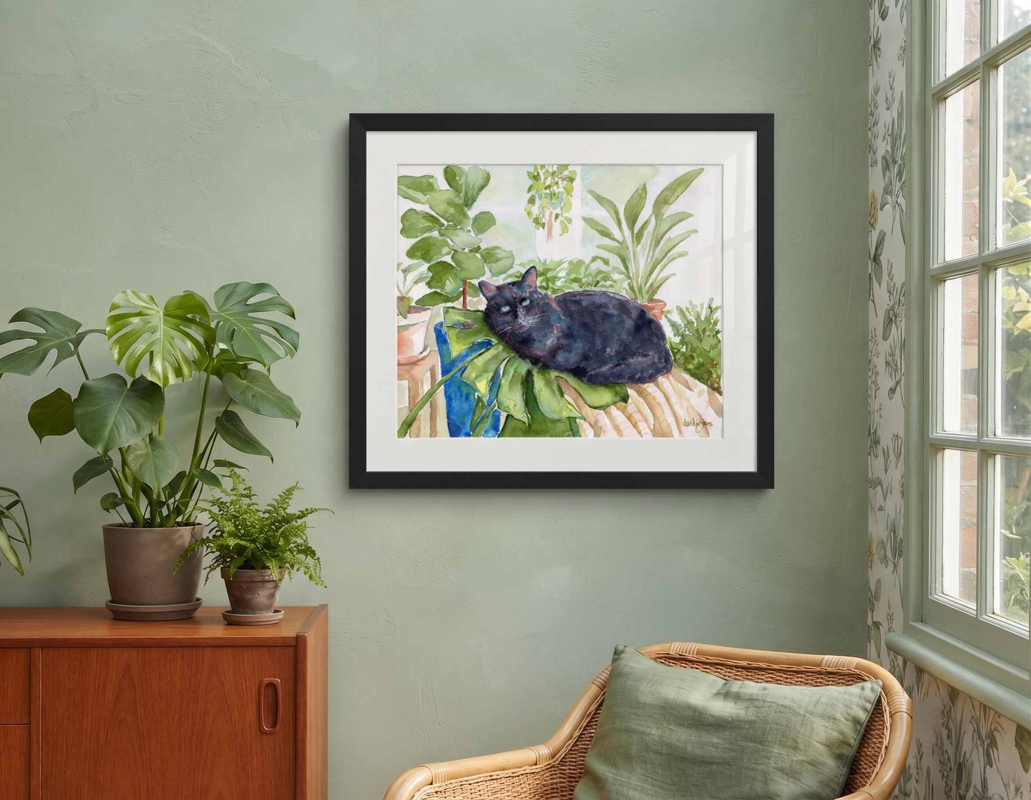 Augustus Black Cat