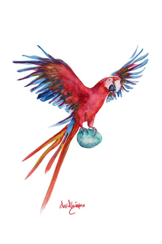 Egg - cellent Parrot (art Print) - davidkjonesart