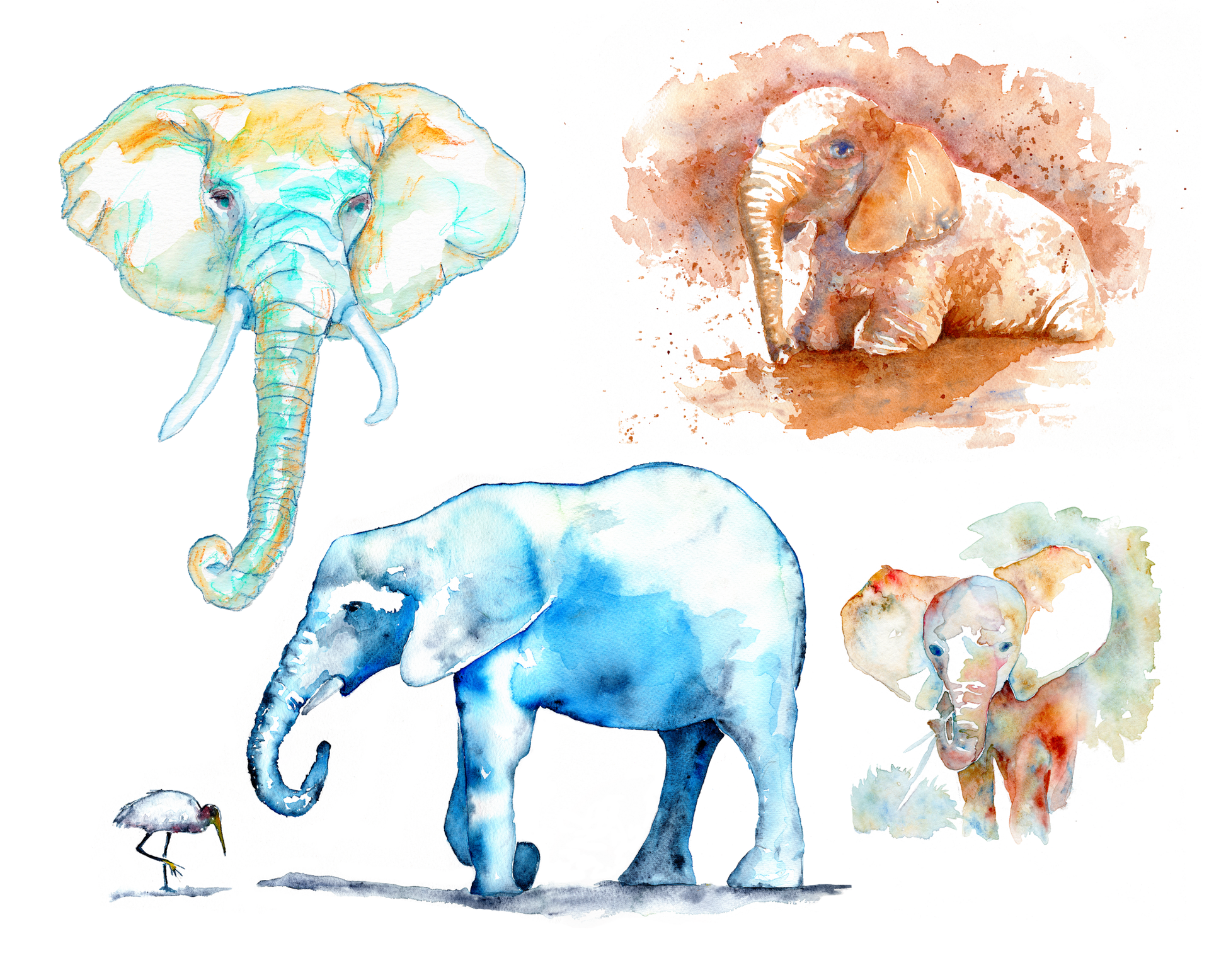 Elephant Collage (art print) - davidkjonesart