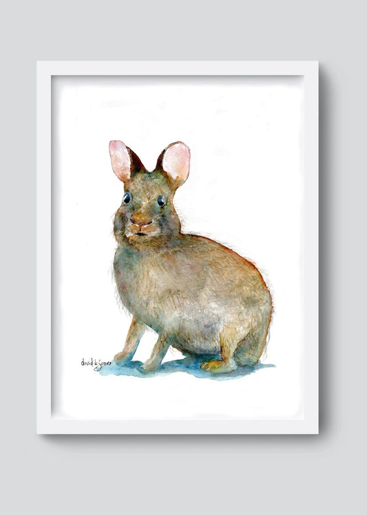 Florida Swamp Rabbit (print) - davidkjonesart