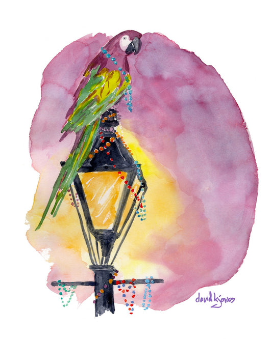 French Quarter Parrot - davidkjonesart