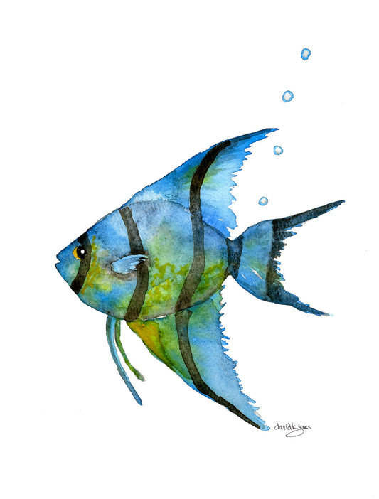 Little Bubbles (watercolor art print) - davidkjonesart