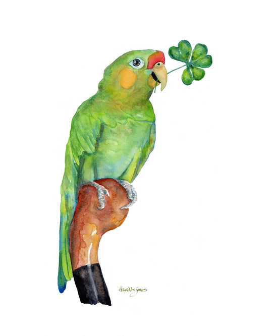 Lucky Bird - davidkjonesart