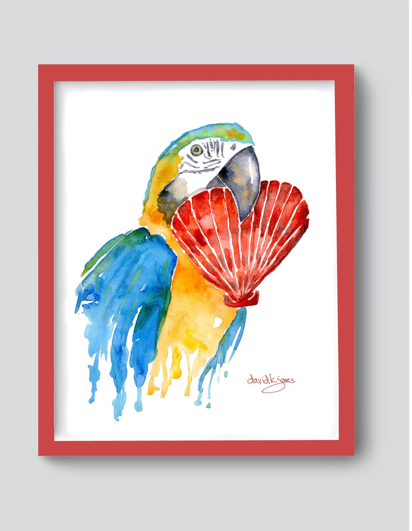 Parrot Heart (art print) - davidkjonesart