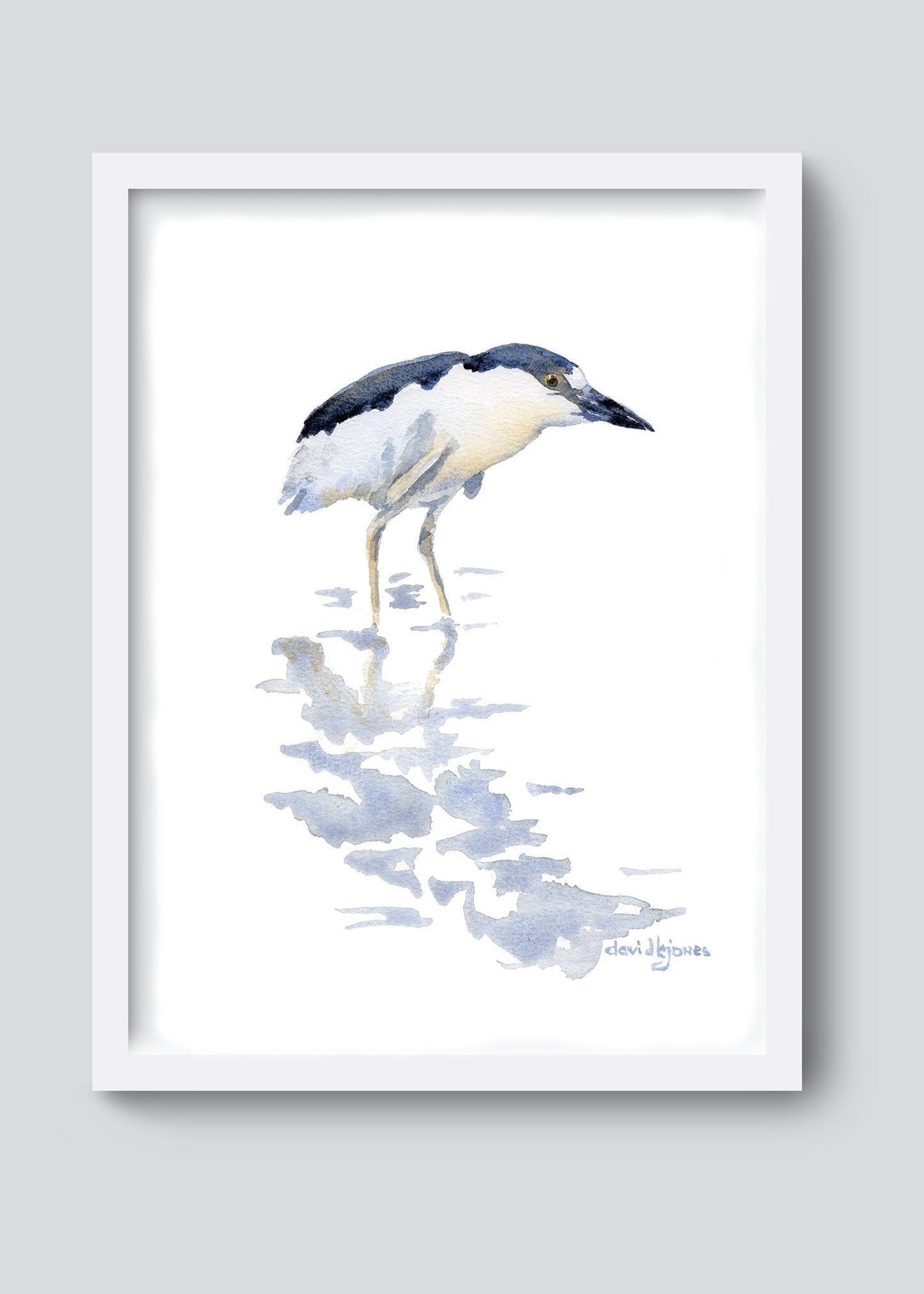 Pretty Bird (Black - Crowned Night Heron) Art Print - davidkjonesart