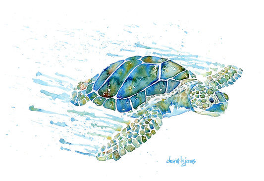 Seaweed - Top Flyer (Sea Turtle art print) - davidkjonesart