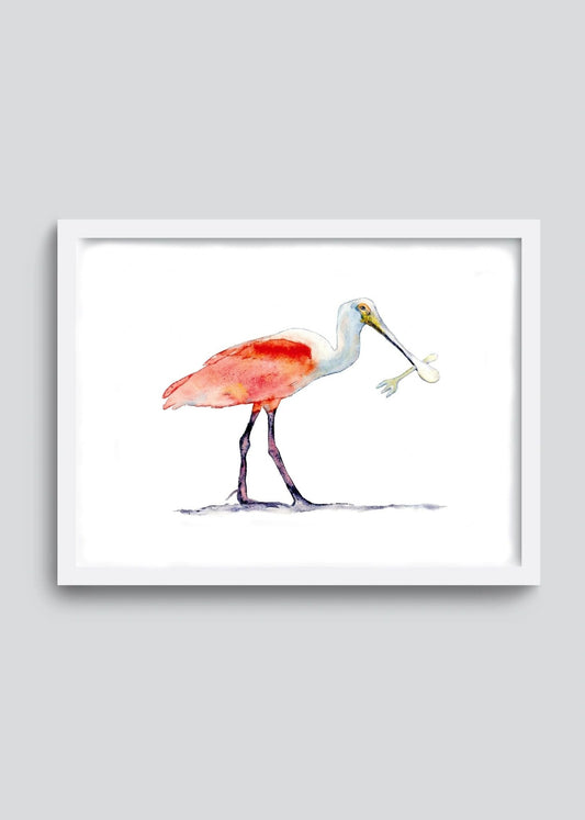 Spoonbill (original watercolor) - davidkjonesart