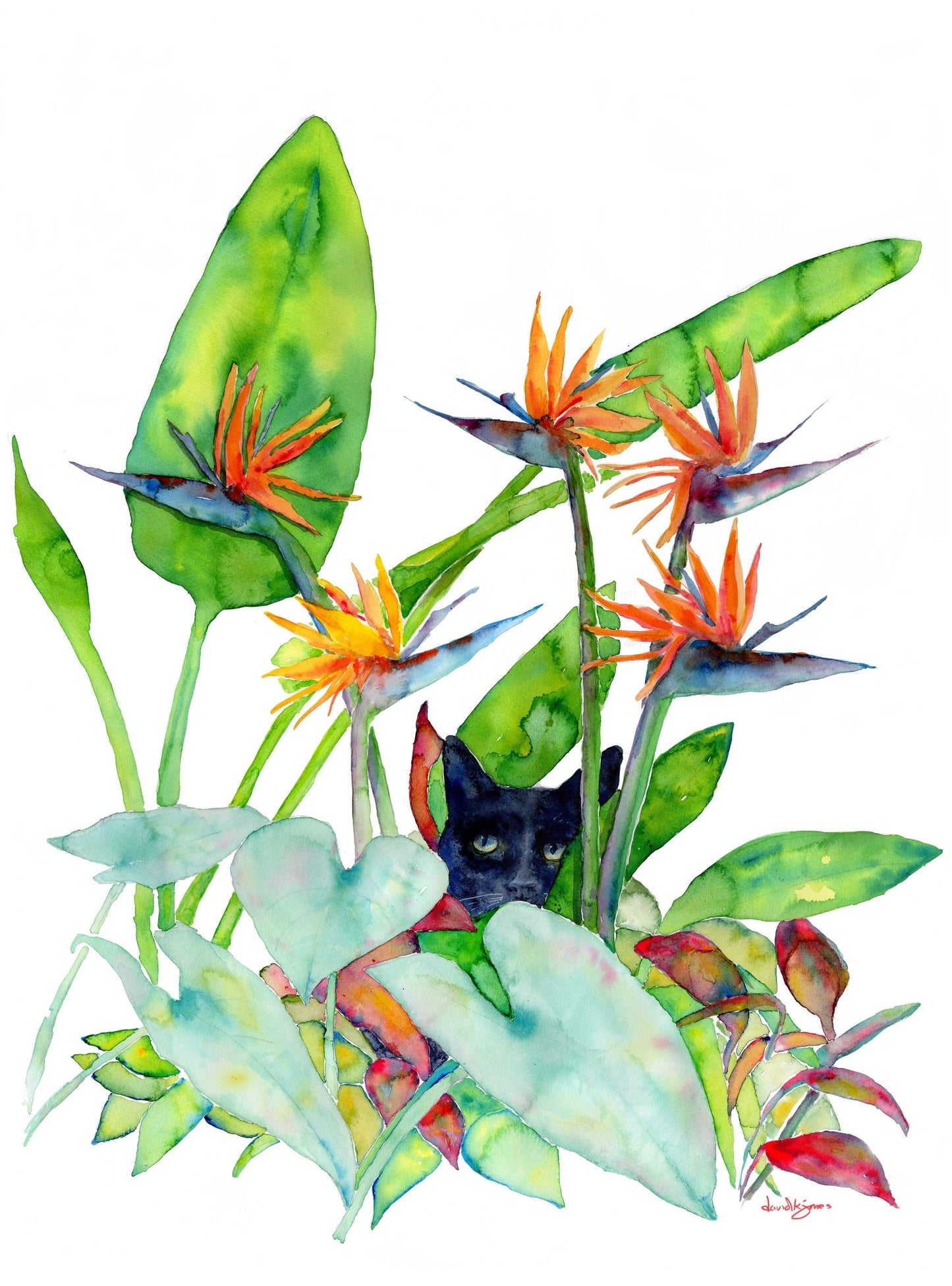 Tropical Kitty - Panther Wannabe - davidkjonesart