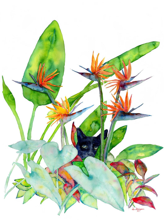 Tropical Kitty - Panther Wannabe - davidkjonesart